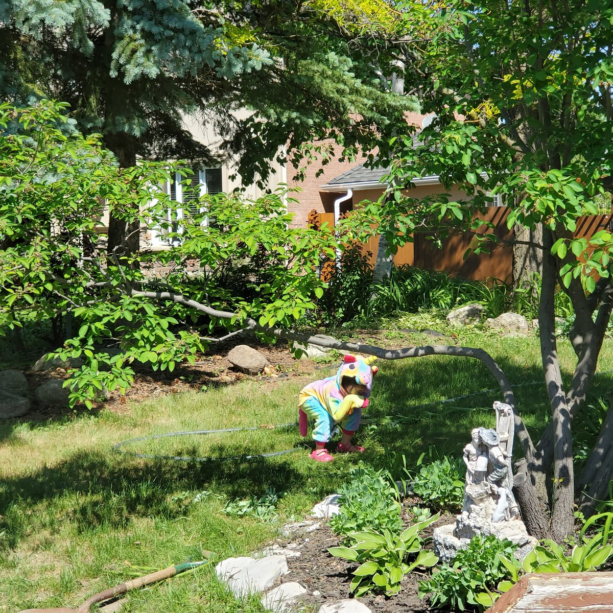 JessingThingsUp's tweet photo. We had a "magical unicorn" hiding in our front garden today...๐ป๐ณ๐ฆ๐ฒ๐ท
.
#magicalafternoon #surprisevisitor #jenevera #inmygarden #yiksrus #mylittlefamily https://t.co/lCfqjyqAmF