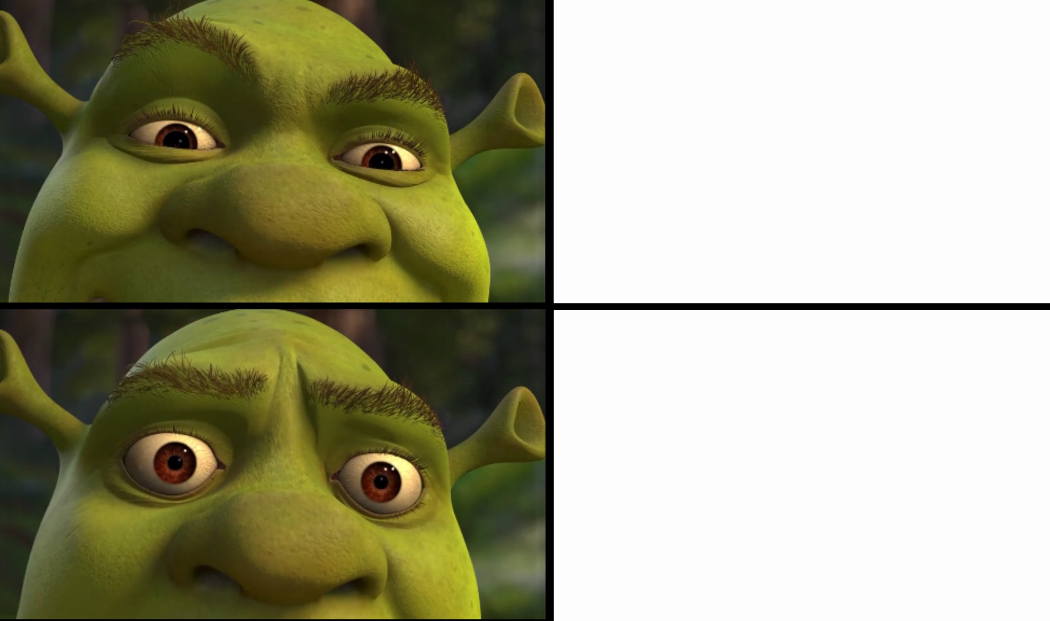 NS OWNER on X: A Shrek Meme Template for you to use! Comment the results  if you like!  / X