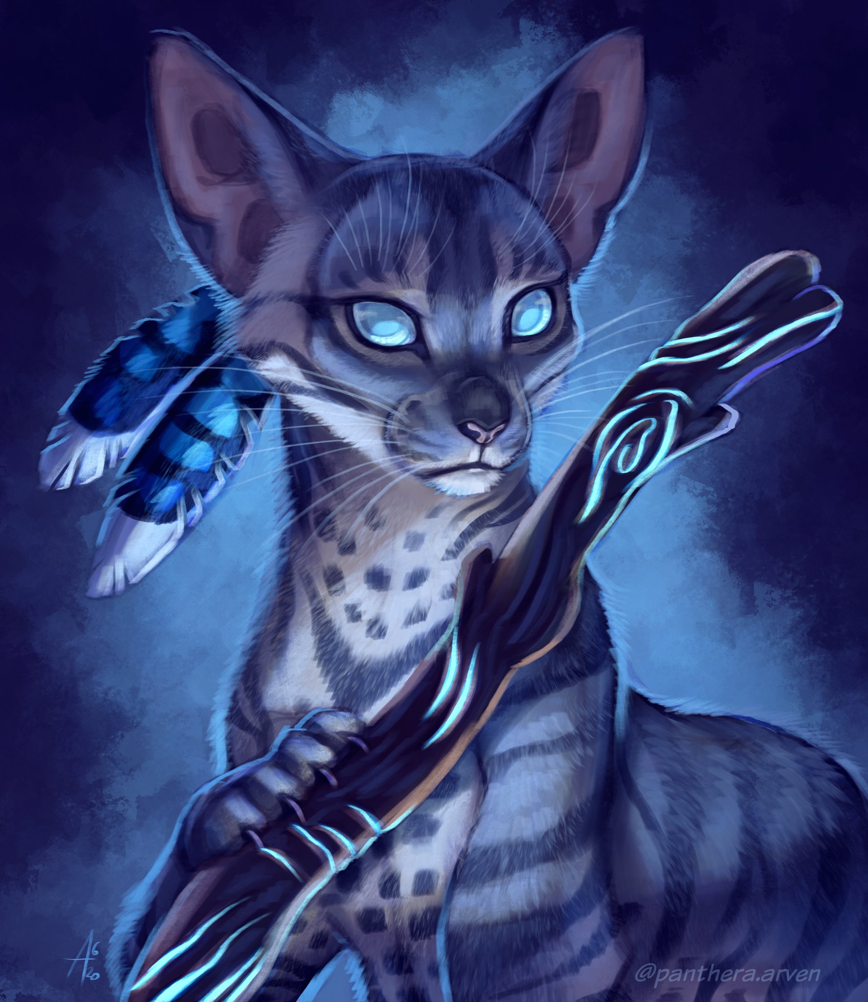 Panthera Arven 🔜 NOVEGRO Festival on X: Jayfeather, fanart for