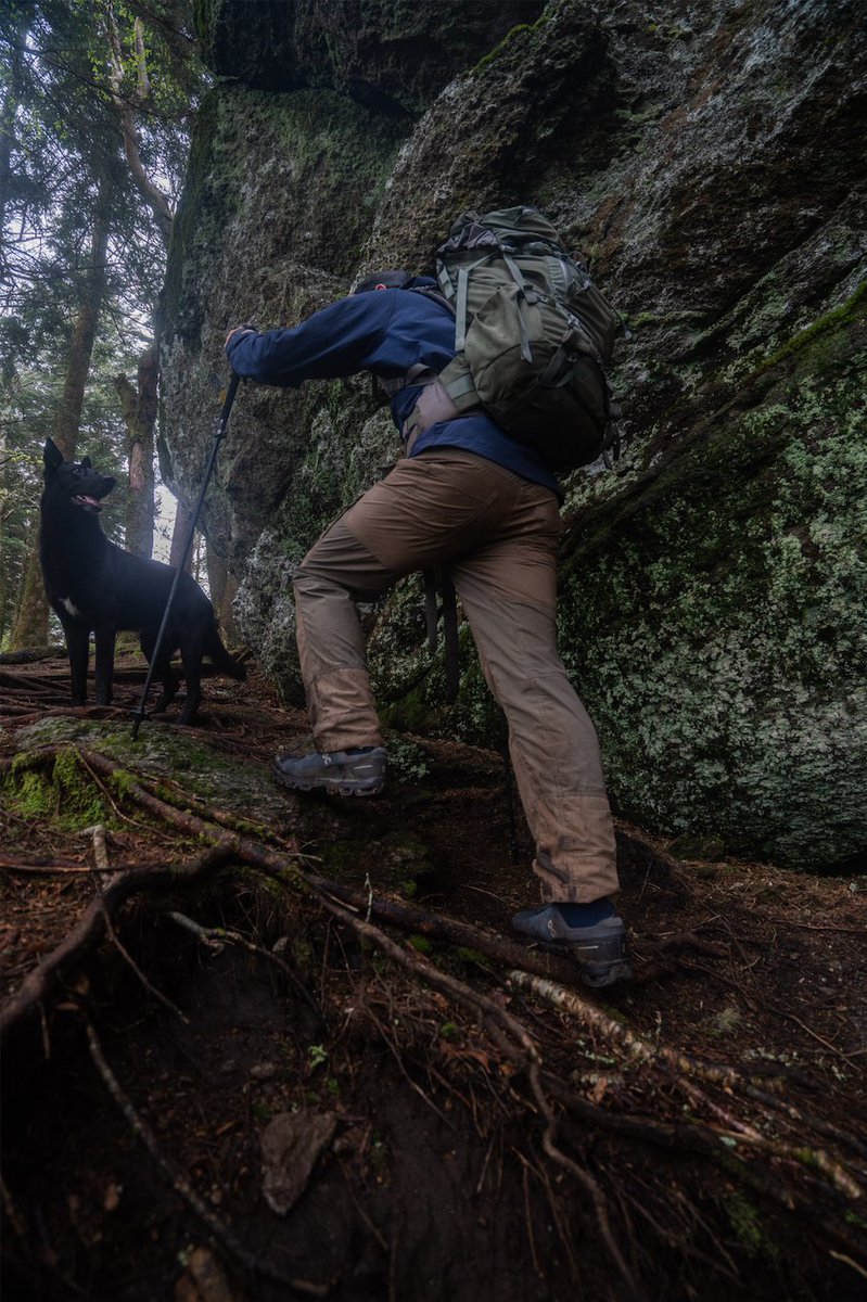 Randy Propster tweet media