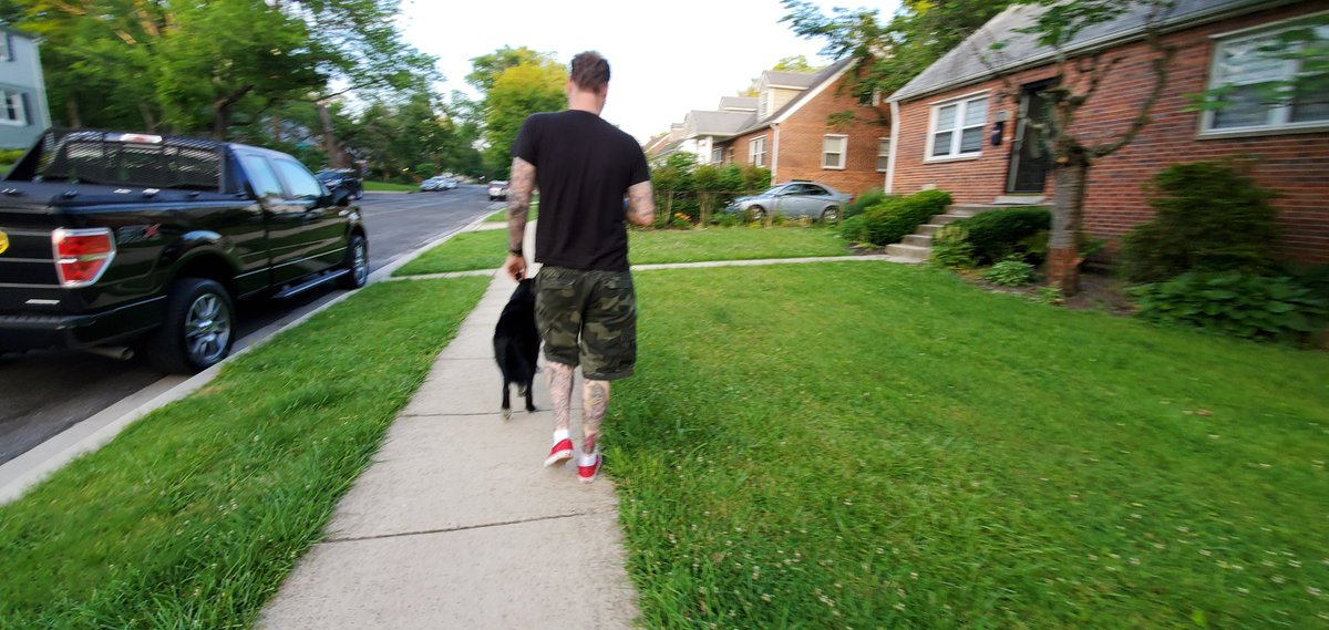 ButterPrincess8's tweet image. My heart #AgingPunks #TuckerIsPeople #Huskador #Dogstagram #DogsOnTwitter #ForeverDedicatedToJason