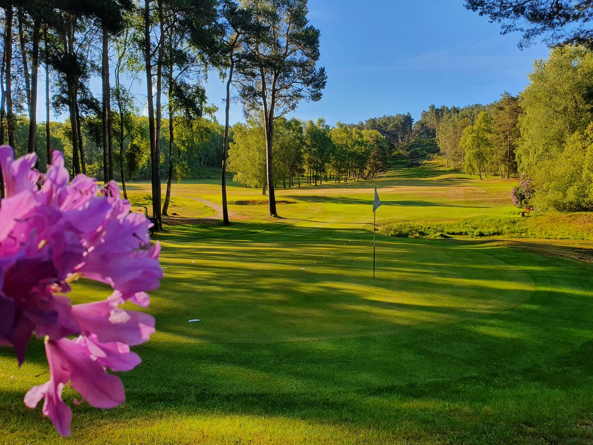 RyanAngear's tweet image. 