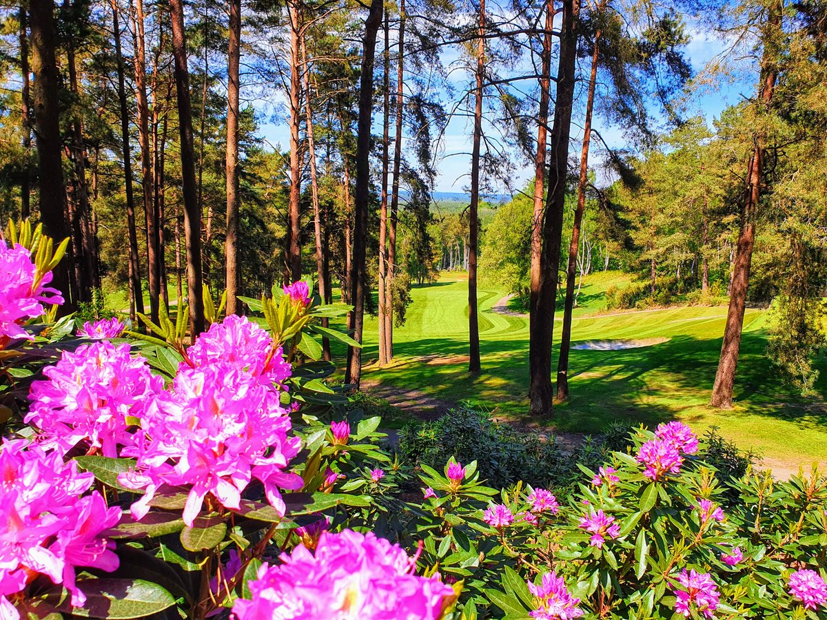 RyanAngear's tweet image. 