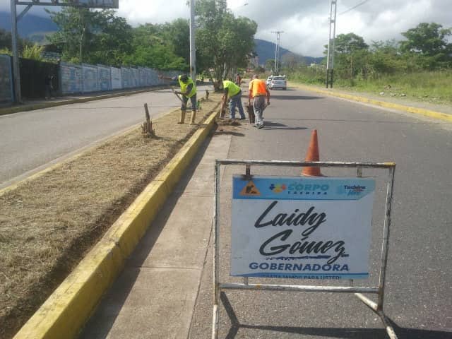 Corpotachira_'s tweet photo. Nuestra gestión continua de la mano de @gobiernotachira, seguimos al lado del núcleo de la ULA Táchira con las actividades de desmalezamiento, limpieza, desfilo y desorillado de brocal. Porque trabajamos por el bienestar de todos los tachirenses
@laidygomezf
@corpotachira_ https://t.co/1quORXqwxh