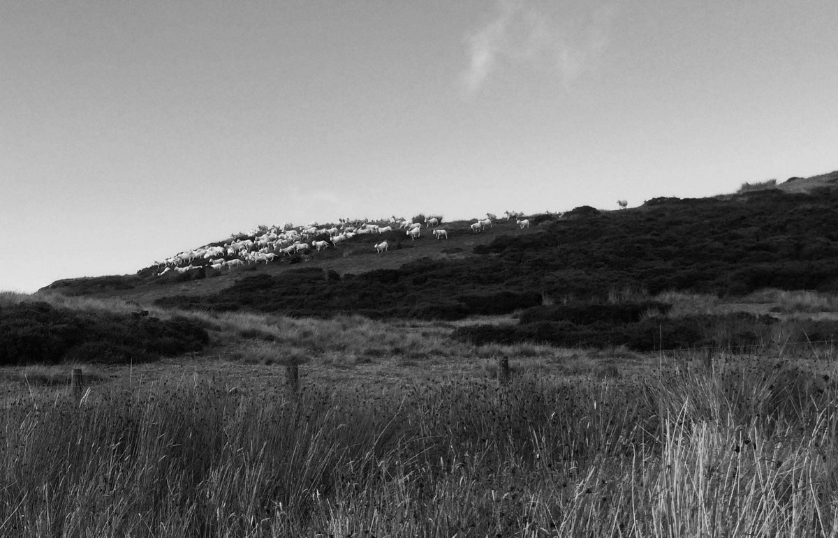 Day 6/7 of #mylifeinpictures No words, no people. Nominated by 
<a href="/GDCTRYFILWBC/">Ioan Roberts, Tryfil</a>
Diwrnod 6/7 o #fymywydmewnlluniau dim geiriau, dim bobl. Dwi'n nomeneiddio @WelshBlackGB