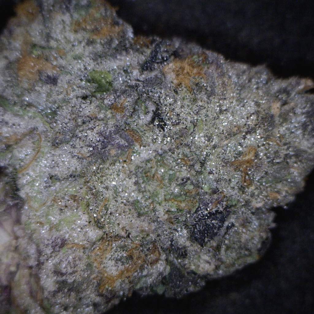 BudsSteven's tweet image. we are online pharmacist and of course legitimate supplies of top quality product 100% legitimate  fast and safe delivery to your door address.......
Check our site for order caliweedhomeshop.com/0