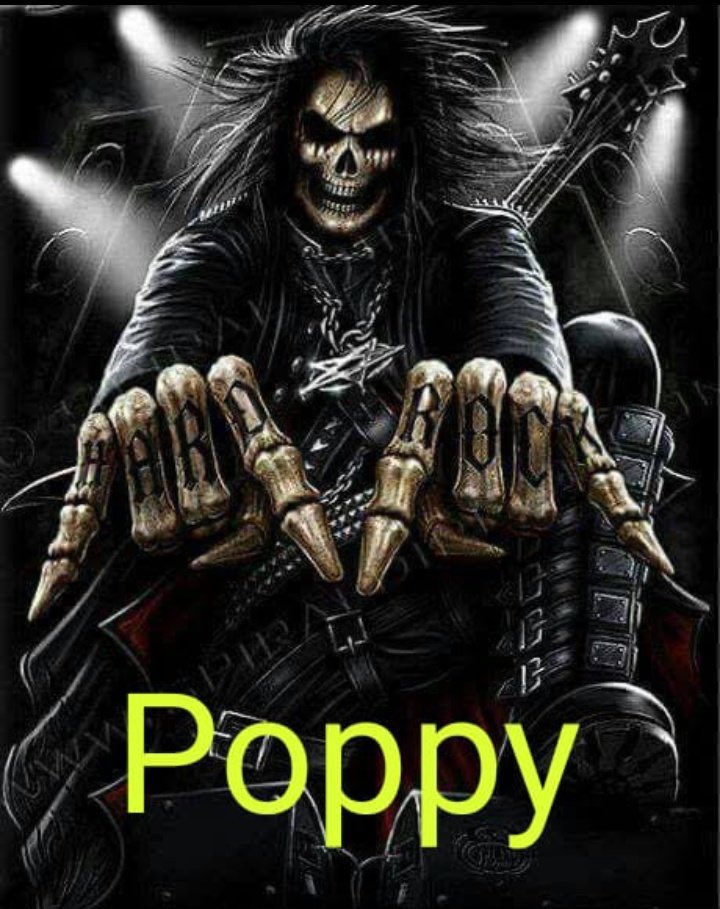 itscholibaby's tweet photo. a poppy #PlugParty https://t.co/Mo5VzqSq9i