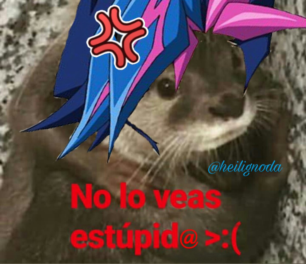 blindpuzzled's tweet photo. Datastormshipping feat. Otters ๐
๐๐
(2nd pic says: "Don't see it, stupid")
#yugioh #yugiohvrains #datastormshipping #ryokenkogami #yusakufujiki #ryosaku #ryoyu #yuryo #revsaku #mypooreditionsxD #otters #cuteotters #cuties https://t.co/Y5kt0IvQuA