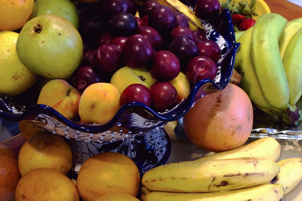 _SemillasdeVida's tweet photo. En esta época de cuarentena apoyémonos entre todos. 

Visita en nuestra página los comercios que recomendamos donde encontraras diversos productos con envío a domicilio 🌽👇🏾

https://t.co/sHrNGzszfe

#SemillasRecomienda https://t.co/6Rj5mGVSQ4