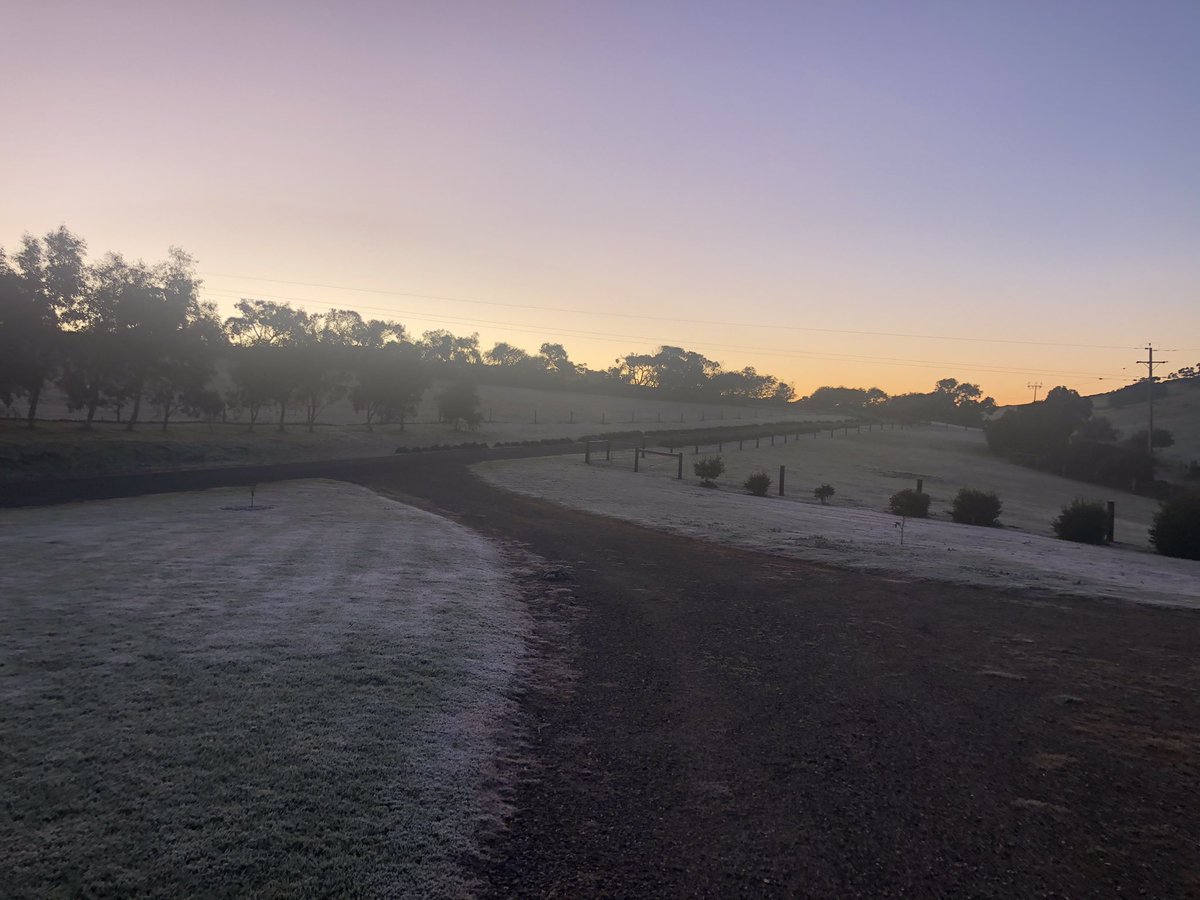 TimRees20's tweet photo. Little bit crisp at Mt Compass this morning. Taking a bit of getting used to by this Queenslander #mtcompass #frost #cold https://t.co/p2Jr5tp2jn