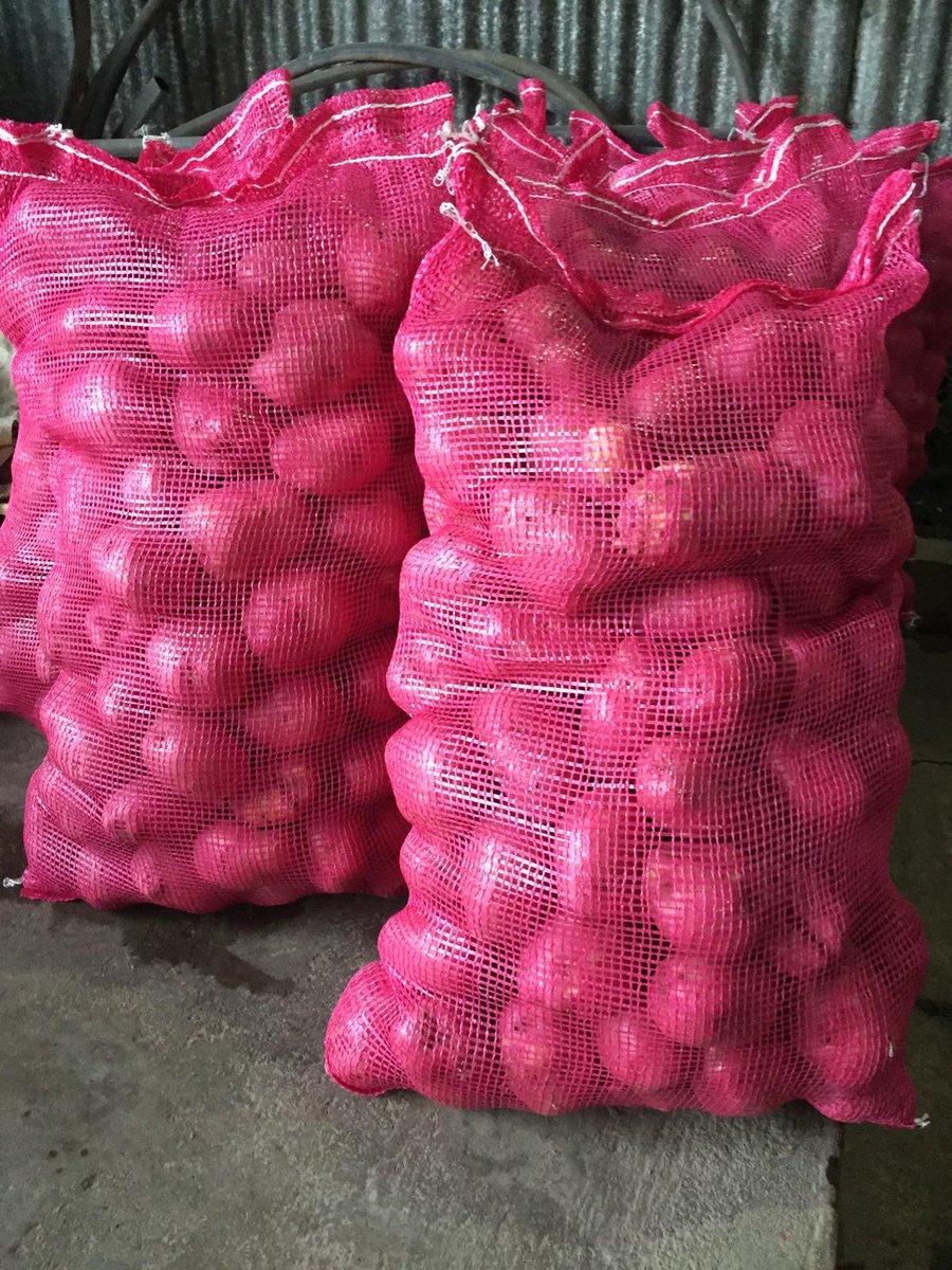 Mercedes Antía tweet media