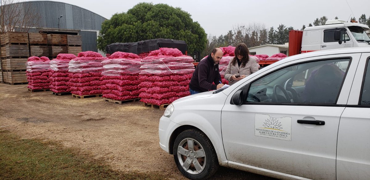 Mercedes Antía tweet media