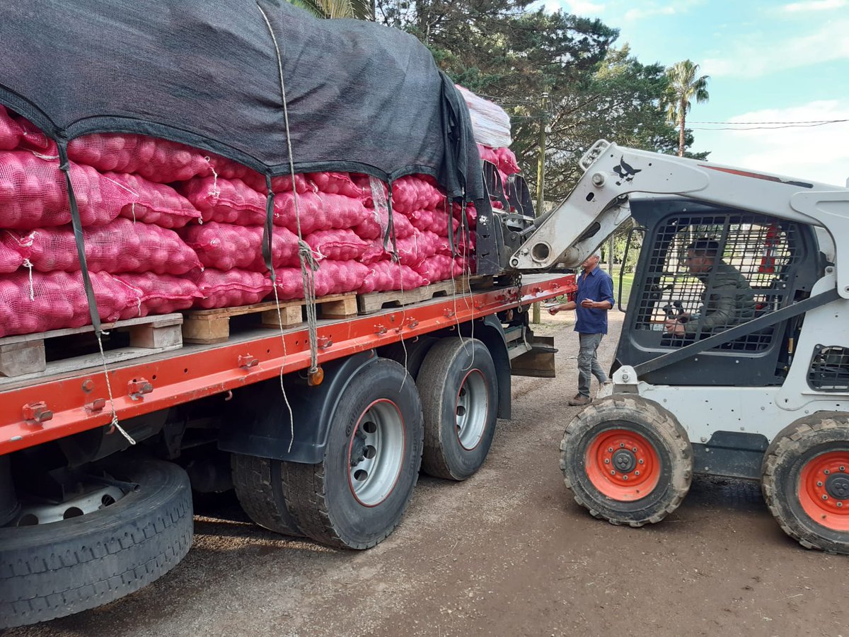 Mercedes Antía tweet media