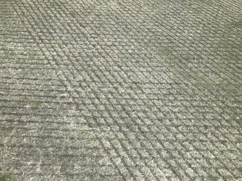 WGP_Agronomy's tweet photo. Special thanks to @ATGCSuper as we recover. He let us rent out the #TriWave40 to get a little #bentgrass back in those rough spots. 🙏🏻 On the bright side, ryegrass collars are gorgeous! https://t.co/1s2ehNOYvI