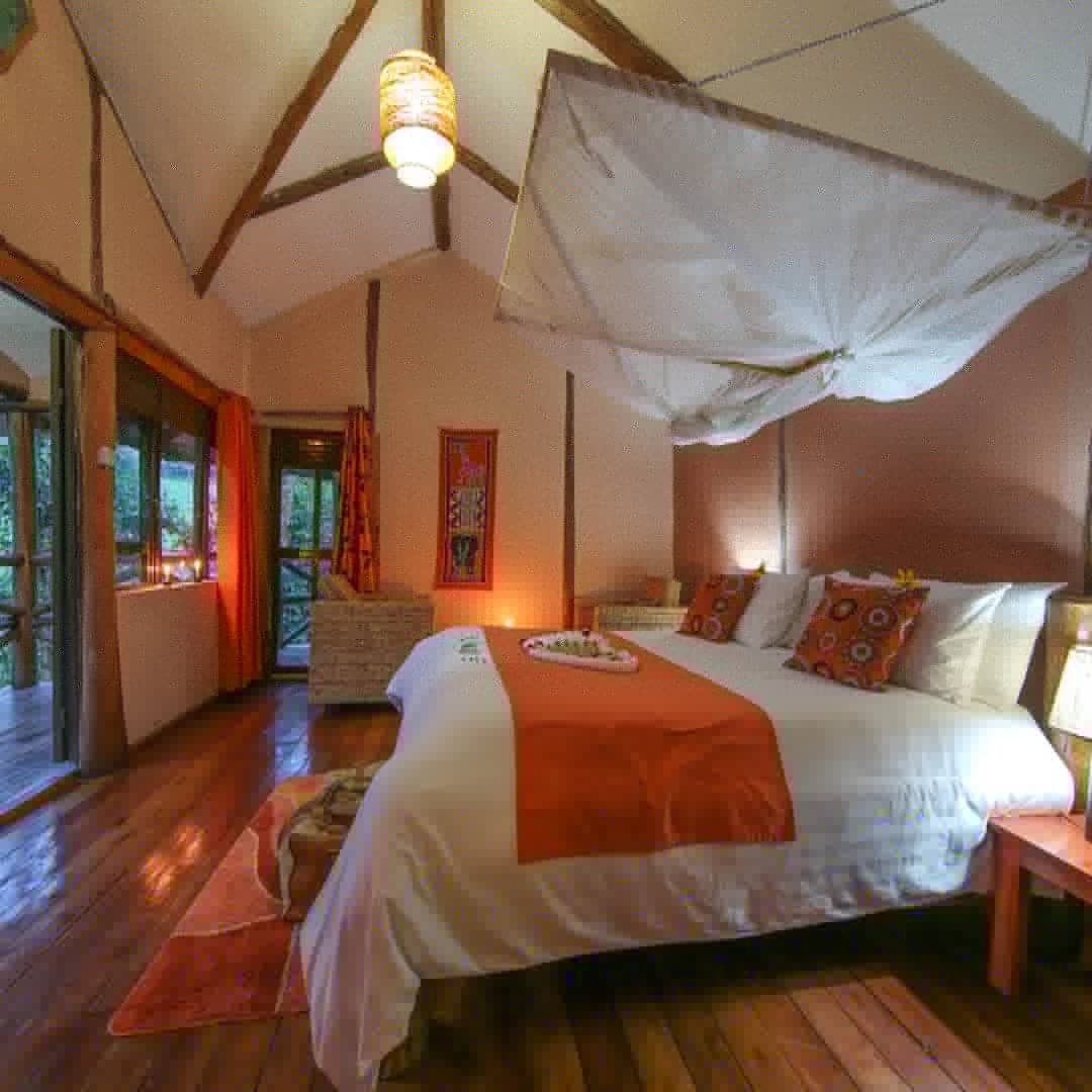 GBwindi's tweet photo. Special discounts for Ugandans and EastAfrican residents, UN staff. Gorilla Safari Lodge-Rushaga-Bwindi.
Just $100 per person per night sharing in a double.$ 130 rate for a single Cottage. 
Children from 5-12 years-$ 55 per night https://t.co/UJwQCNibQB