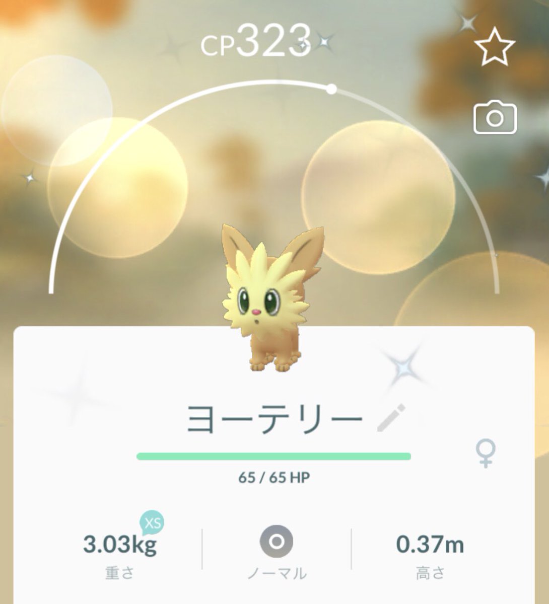 ヨーテリー Twitter Search ヨーテリー Twitter Search