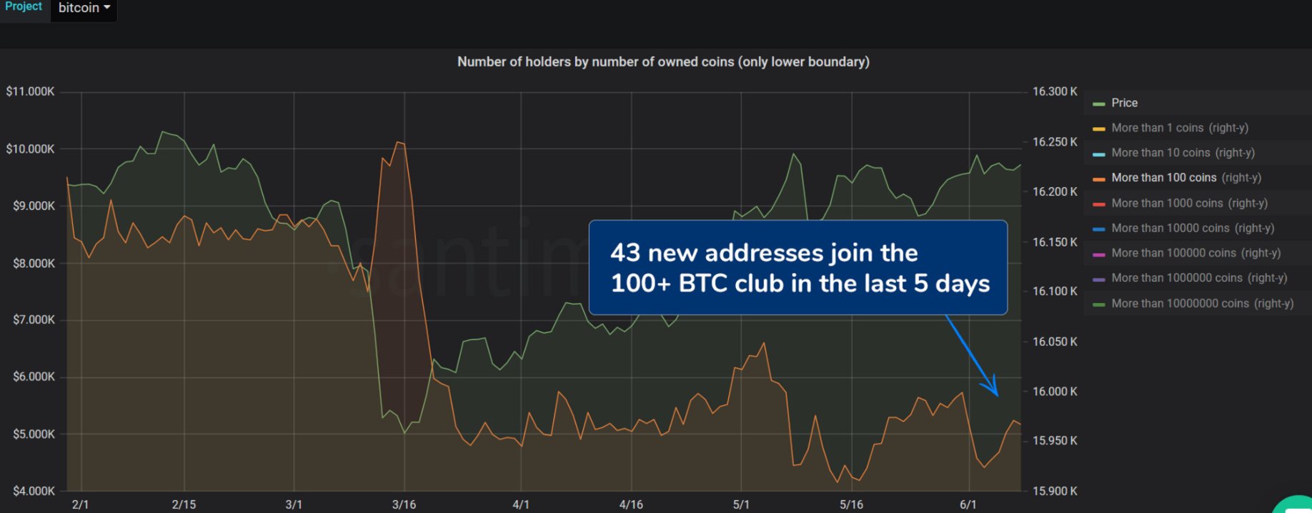 The Number of BTC Holders Increases. (Source: Santiment)