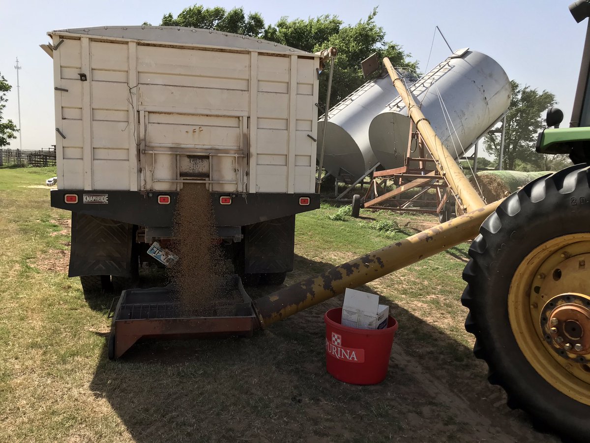 John Pfeiffer tweet media