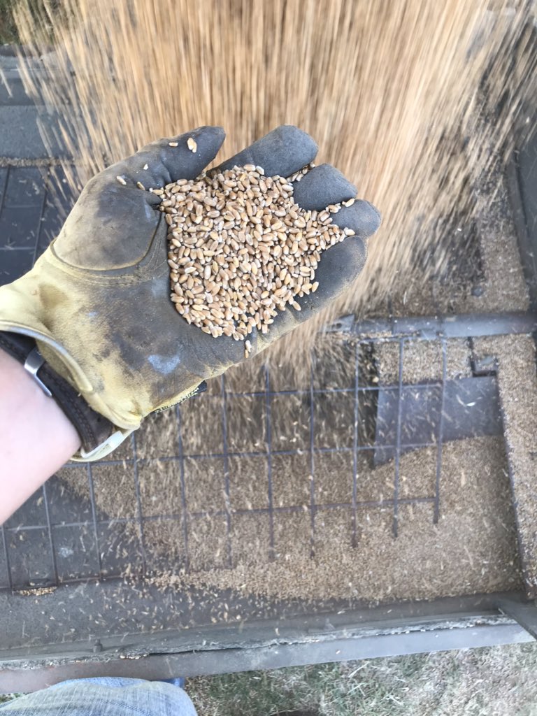 John Pfeiffer tweet media