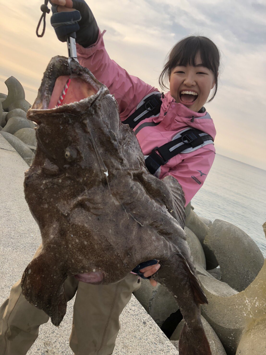 ちぇぷ子 びっくりゲスト ショアからアンコウが釣れました まさかの85cm 最初は根がかりかと思いました 本当はヒラメ釣りに来たんだけどな こんなことってあるんですかね 北海道の海 すごすぎ T Co 70yirc6bfj Twitter