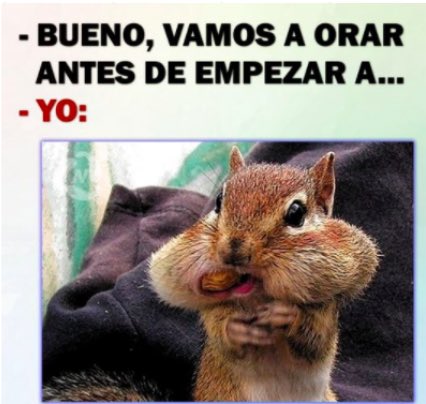 ROMMENDOZA's tweet photo. Cuando voy al pueblo.... https://t.co/erkE9k70Dt