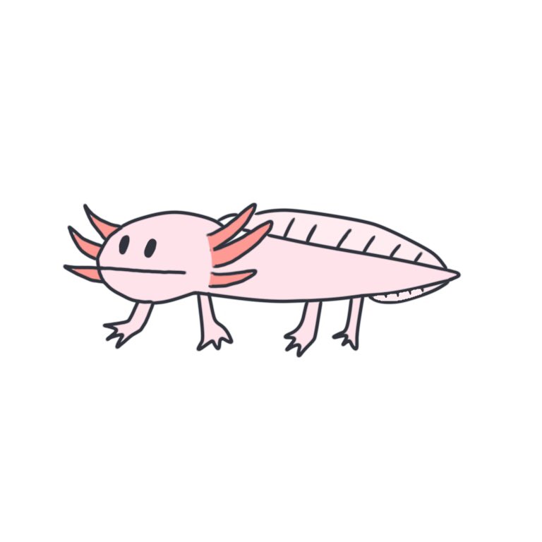 O Xrhsths 無表情な動物たち Sto Twitter ウーパールーパー イラスト 無表情な動物たち ウーパールーパー 水槽 ゆるいイラスト O Xrhsths 無表情な動物たち Sto Twitter ウーパールーパー イラスト 無表情な動物たち ウーパールーパー 水槽 ゆるいイラスト