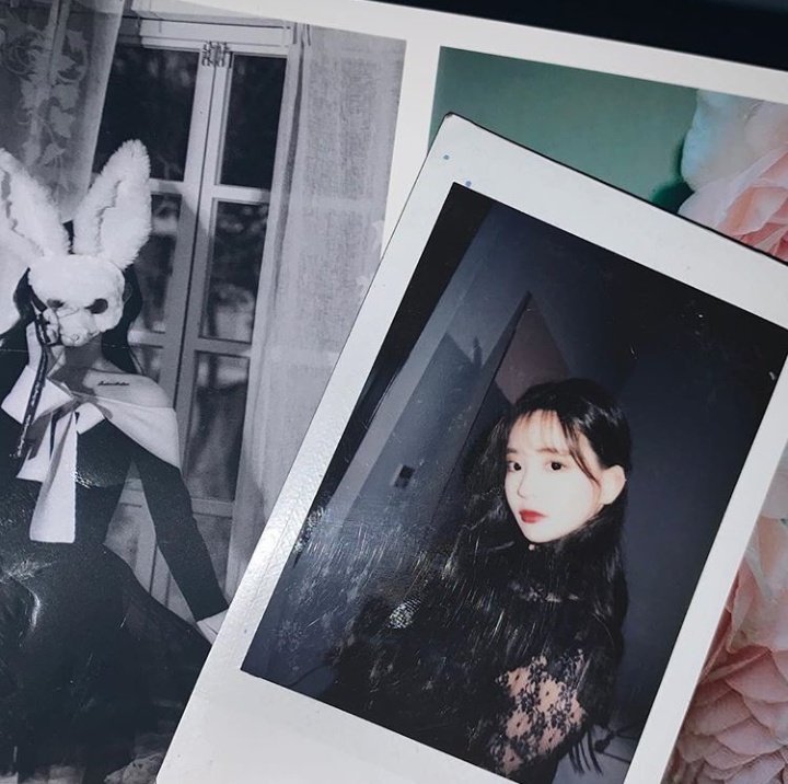 florosemary's tweet photo. ㅤㅤ
ㅤㅤ♡ happy first monthsarry. ♡
ㅤㅤ https://t.co/fmpKjGTGJo