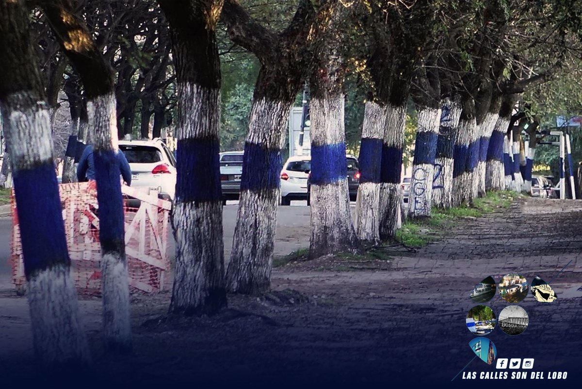 LCSD_Lobo's tweet photo. Estas calles son mías todas caminadas con el corazón | #CGE #GELP #LasCallesSonDelLOBO https://t.co/LlkdgQZLZJ