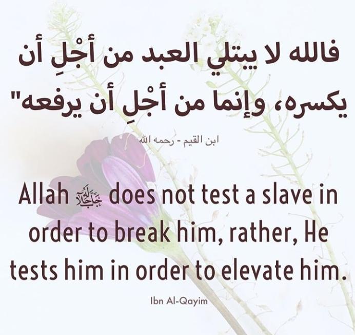 deen_tube's tweet photo. https://t.co/V6zdRcSZXx