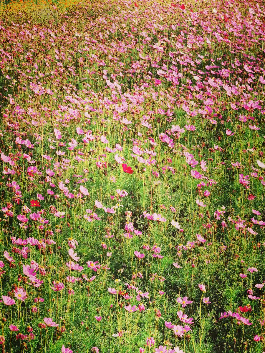 nyorker (@model3nyorker) on Twitter photo 