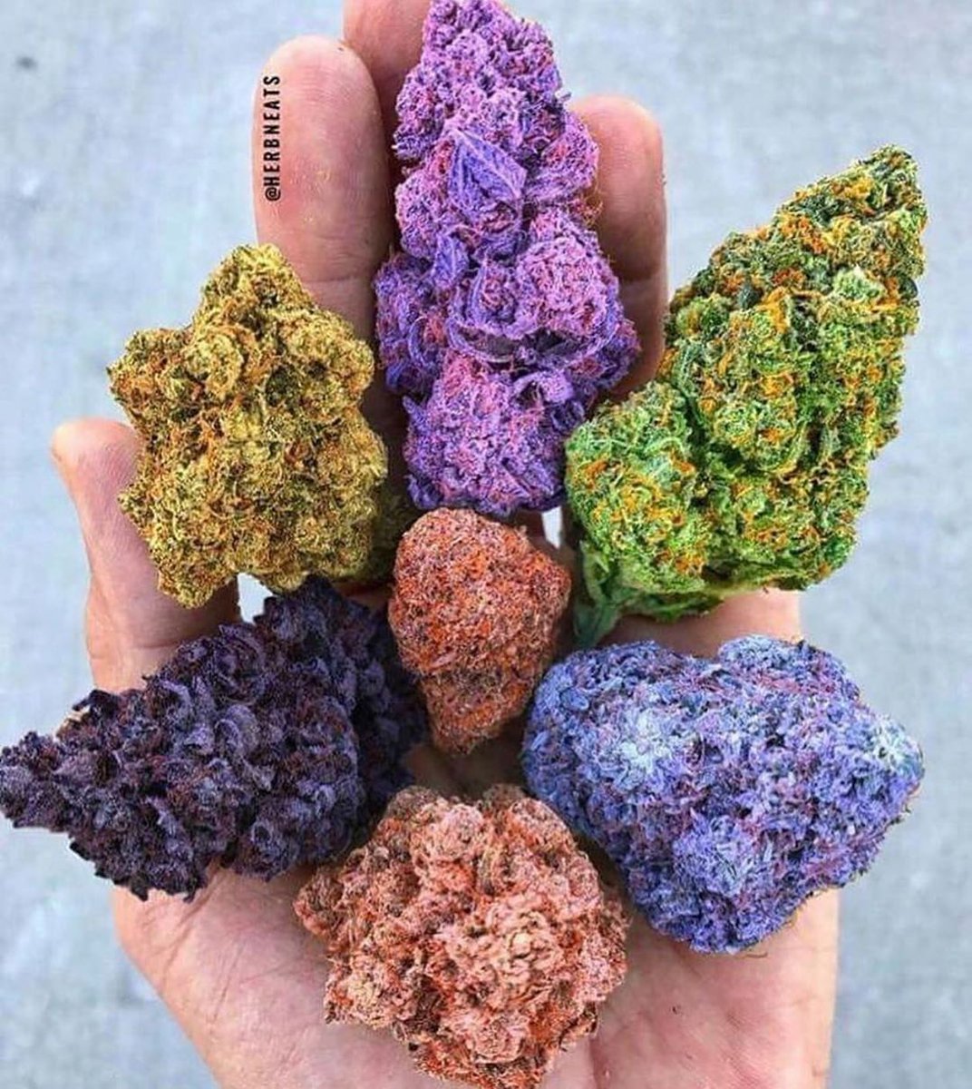 VladimirWeed's tweet photo. Livraison rapide et discret 35min maxi
À partir de 100balles
Télégram : @vladimirweed20
Snap: Vladimirweed20
Email: dleon8717@gmail.com
🇫🇷🚬🌿

#aubervilliers #lebourget #maisonalfort #creteil #MissFrance2020 #parisjetaime #monaco #lille #olympia #paristouris #terminal2 #lyon https://t.co/Or1kb7OBVG