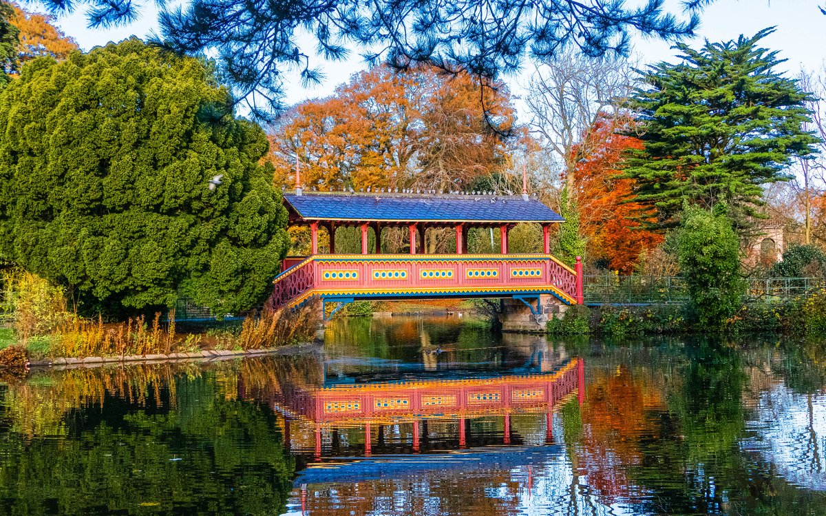 BirkenheadPark1's tweet photo. Good morning 😊 from @BirkenheadPark1 💚
 "Nature gives to every time and season some beauties of its own." - Charles Dickens  #WednesdayMotivation https://t.co/SVOV09NEJa