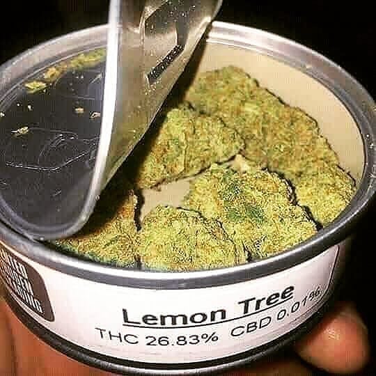VladimirWeed's tweet photo. Livraison rapide et discret 35min maxi
À partir de 100balles
Télégram : @vladimirweed20
Snap: Vladimirweed20
Email: dleon8717@gmail.com
🇫🇷🚬🌿

#Bordeaux #Levallois #weedsmokers #Nantes #restaurantsfrancais #Lille #Loire #paris19 #paris17 #parisfashionweek  #Marseille #cocaina https://t.co/GLjMkvfHVF