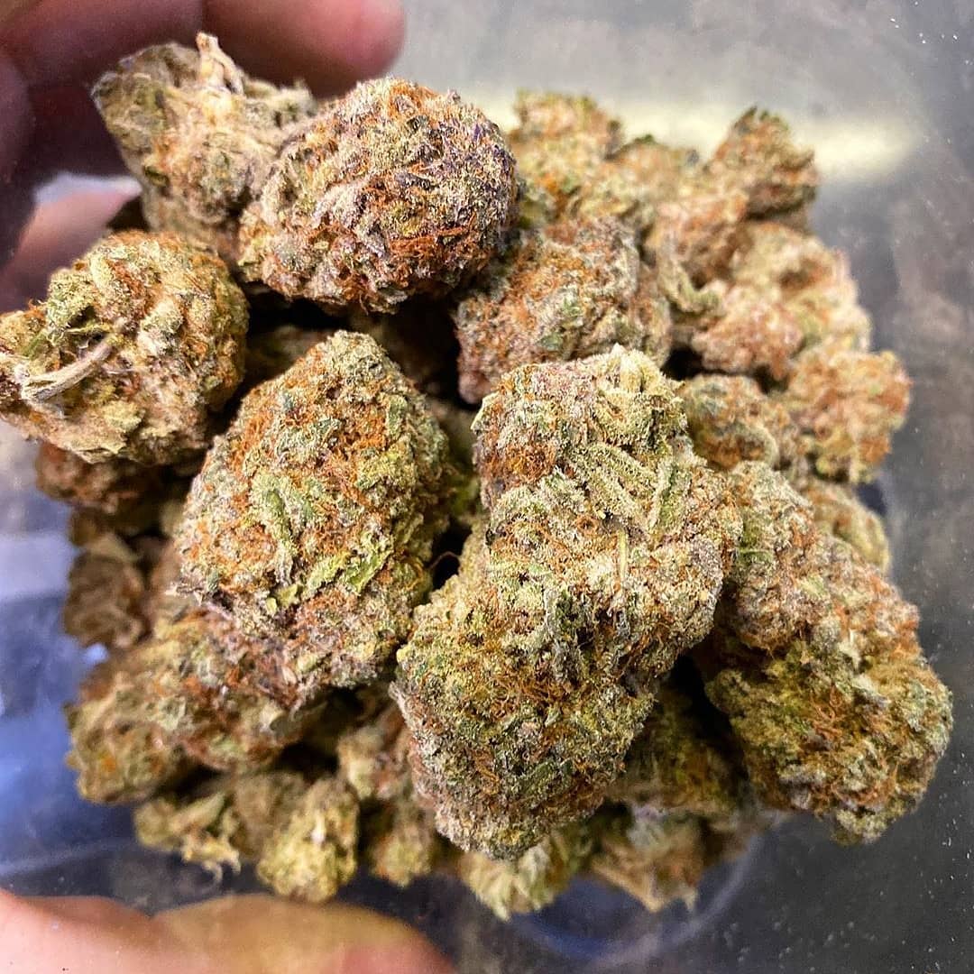 VladimirWeed's tweet photo. Livraison rapide et discret 35min maxi
À partir de 100balles
Télégram : @vladimirweed20
Snap: Vladimirweed20
Email: dleon8717@gmail.com
🇫🇷🚬🌿

#Bordeaux #Levallois #weedsmokers #Nantes #restaurantsfrancais #Lille #Loire #paris19 #paris17 #parisfashionweek  #Marseille #cocaina https://t.co/GLjMkvfHVF