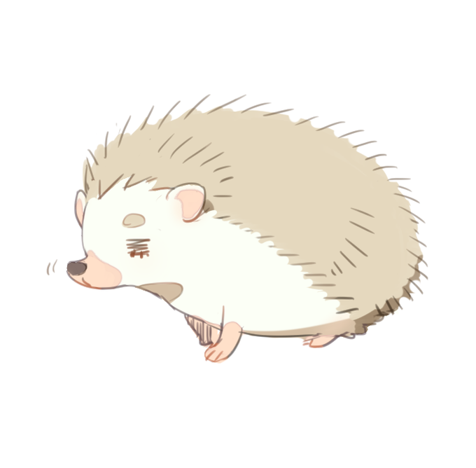 ヨツユビハリネズミのtwitterイラスト検索結果