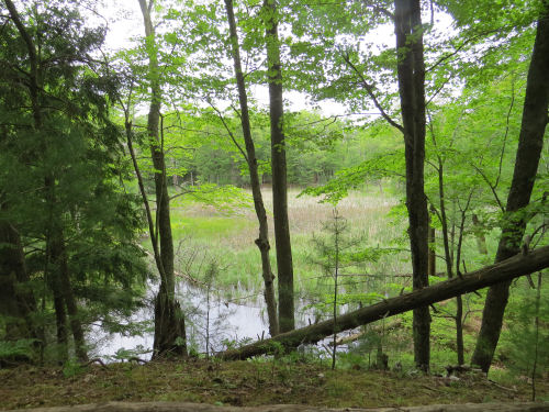 sharkbytes's tweet image. Hiking in the heat myqualityday.blogspot.com/2020/06/43-hot…