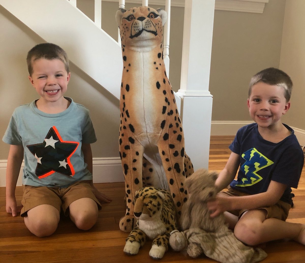 kinderhathaway's tweet photo. San Diego Zoo Virtual Field Trip @HathawaySchool https://t.co/cPBmj5UTTR