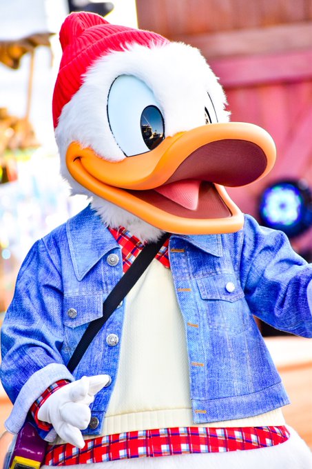 ドナルドダック生誕祭のtwitterイラスト検索結果