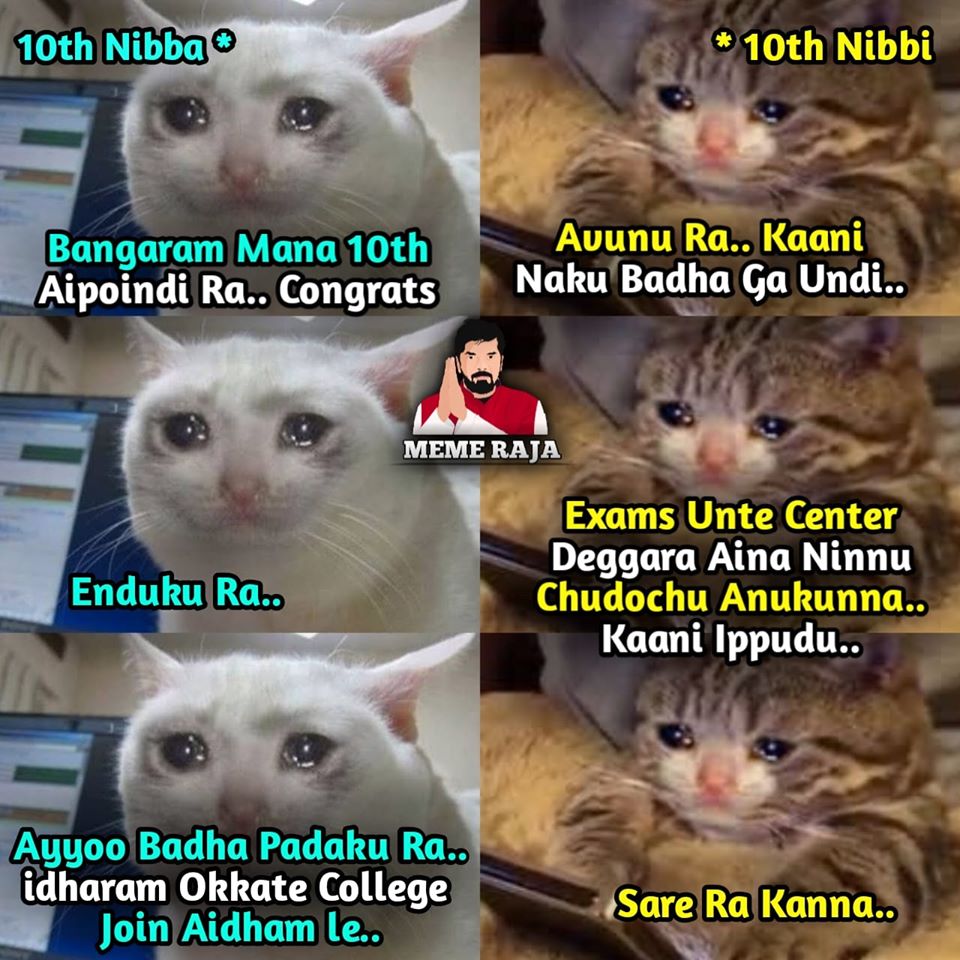 EaHFWdAWsAArXCB?format=jpg&name=medium