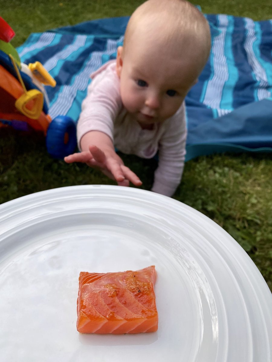 Reaching for her first taste of wild chinook salmon. Yes, I did end up cooking it for her 🔥 🐟 

#babynutrition