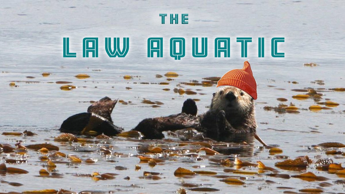 Linda_Nowlan's tweet photo. Looking for @WCELaw #TheLawAquatic? Look here! Most recent - #OceansDay issue: post-pandemic ocean, #IPCAs, Canada's 1st #MPAnetwork, habitat change in #BurradInlet, regional #EA for Atlantic oil +gas +more!
https://t.co/EO1Y723AAQ https://t.co/62vJHpE274