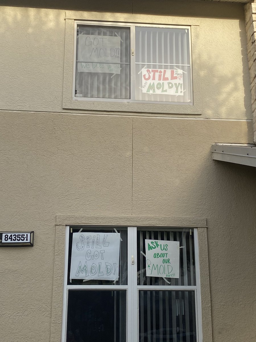 court_hami's tweet photo. Didn’t have chalk #ThisWillHaveToDo #AskMeAboutTheMold #PosterHasMoldOnIt #WelcomeToMoldague #FortHood #EnoughTalkTimeForChalk https://t.co/UQ2P2WyRCv