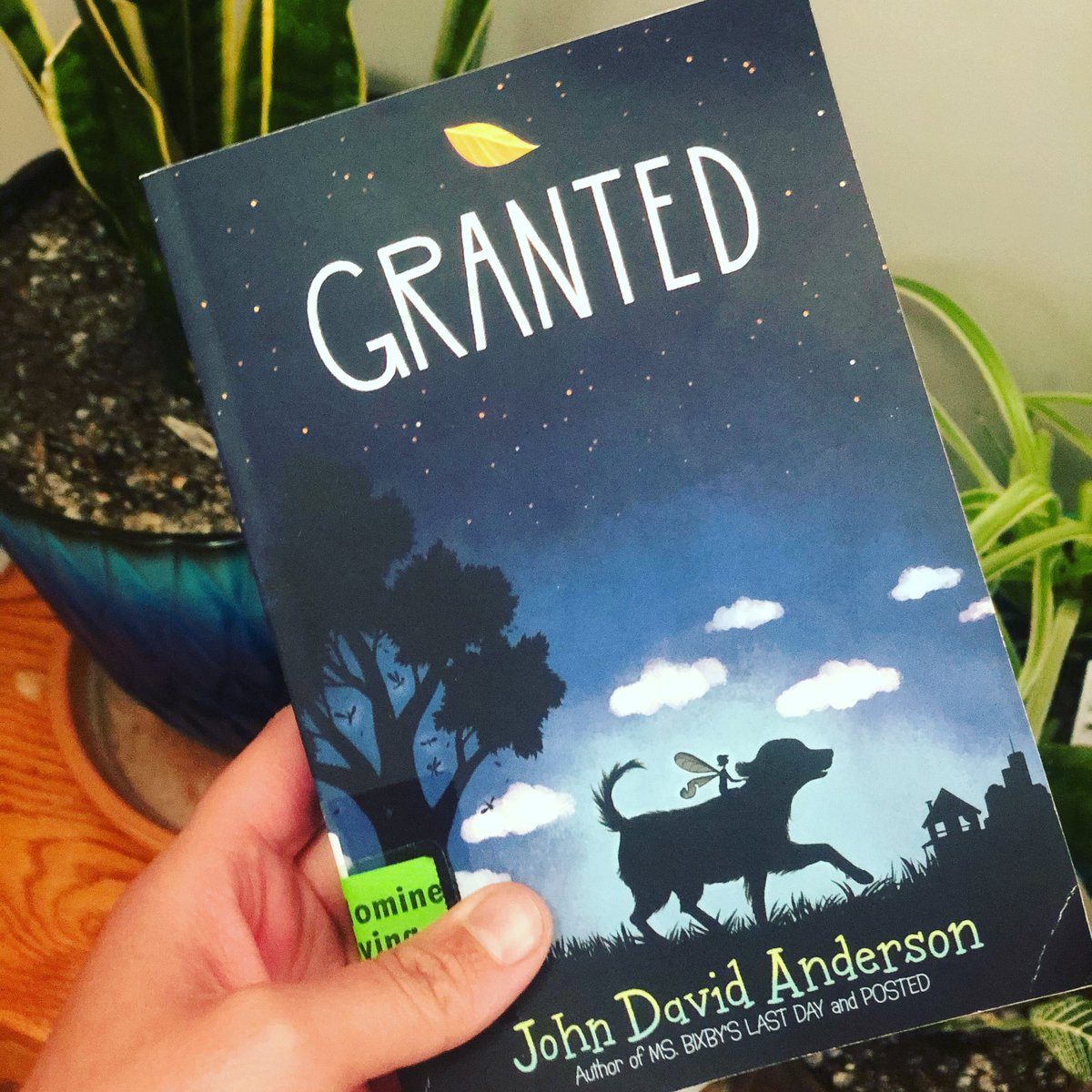 missmihelic's tweet photo. This WAW 20-21 book takes you into the world of fairies and follows Ophelia on her adventure to grant her first wish. 🧚♀️ #williamallenwhite #bkbattleofthebooks #bklibrary #bkreaders #currentlyreading #SMSDSummerReads https://t.co/GGDpgTR2Cy