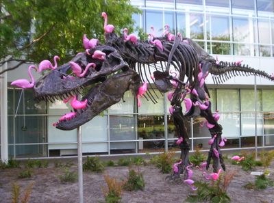 collective_dub's tweet photo. A flensing of flamingos https://t.co/6ELWwXkYPt