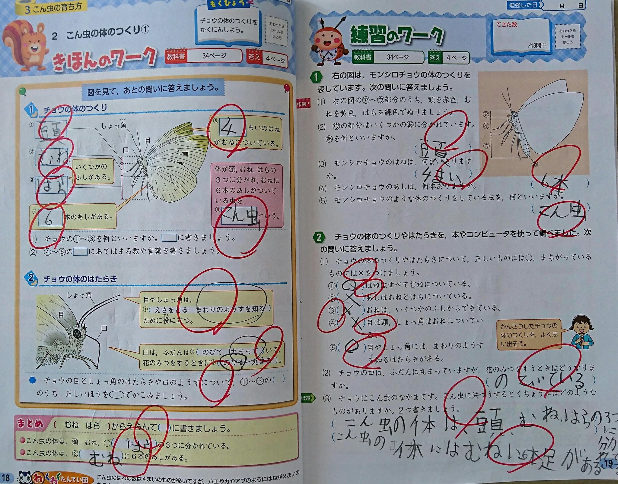 完全個別指導塾ceeds こん虫のからだのつくり を学んだ小3の生徒さん ばったやとんぼ だんご虫やくも など比べてみることで こん虫かどうか 見分けられるように なりました 知っていることを さらに詳しく学ぶと もっと知りたい気持ち になりますね 吉祥寺 完全個別指導塾ceeds こん虫のからだのつくり を学んだ小3の生徒さん ばったやとんぼ だんご虫やくも など比べてみることで こん虫かどうか 見分けられるように なりました 知っていることを さらに詳しく学ぶと もっと知りたい気持ち になりますね 吉祥寺