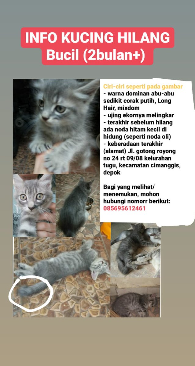 Tomi Adenugroho Tominugr Twitter