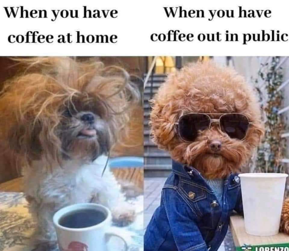 #home vs #publicplaces 🤣🤣