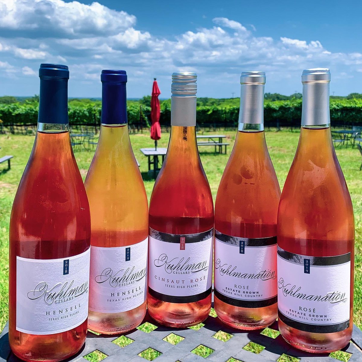 KuhlmanCellars's tweet photo. National Rosé Wine Day is June 13:  We have Estate Kuhlmanation, Hensell and Cinsault Rosé available for pickup or online orders!  Shop here:   https://t.co/k69z2Auosl
.
.
#kuhlmancellars #vinavita #rosé #nationalroséwineday #TXhillcountry @KuhlmanCellars https://t.co/EQ2u8n7mdk