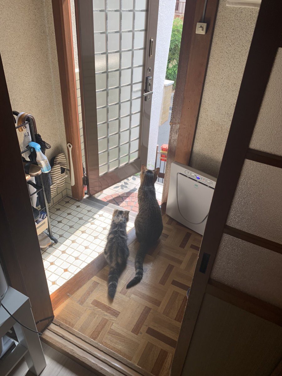 🟦KYO⬛️ tweet media