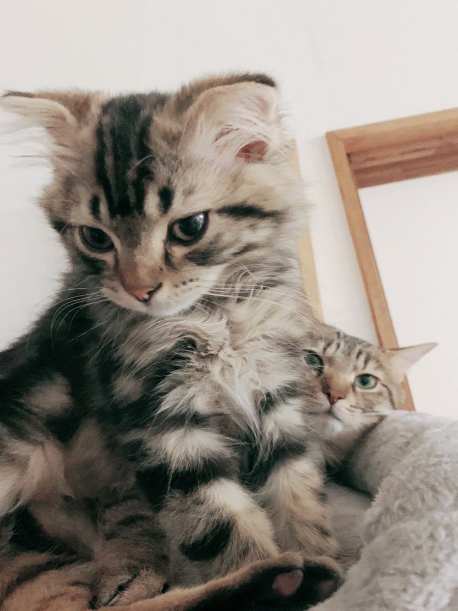 🟦KYO⬛️ tweet media